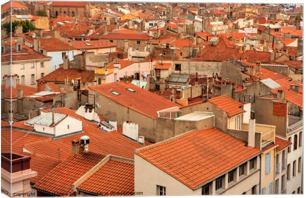 Perpignan Rooftops Canvas Print by David Hare