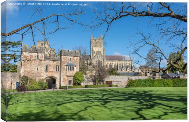 Wells Cathedral Canvas Print by David Hare
