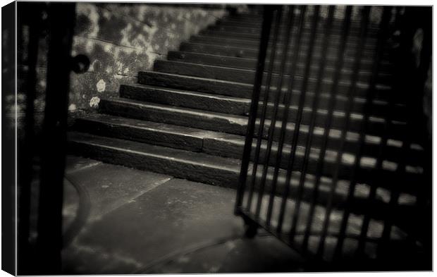 Secret stairs. Canvas Print by David Hare
