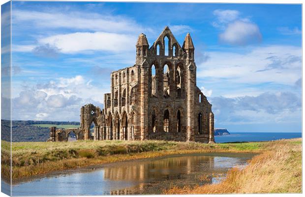 Whitby Abbey Canvas Print by David Hare