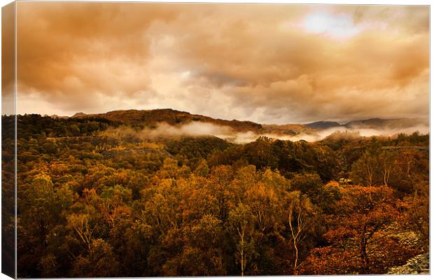 Autumnal colours and mists. Canvas Print by David Hare