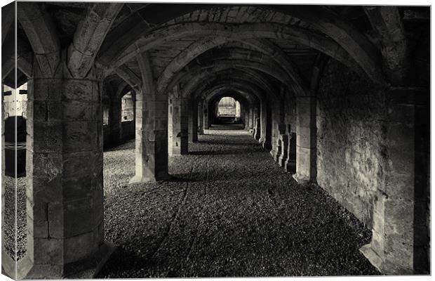 A Priory Vault. Canvas Print by David Hare