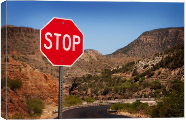 Stop!!! Canvas Print by David Hare