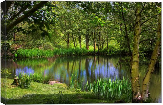 Spring views Canvas Print by David Hare