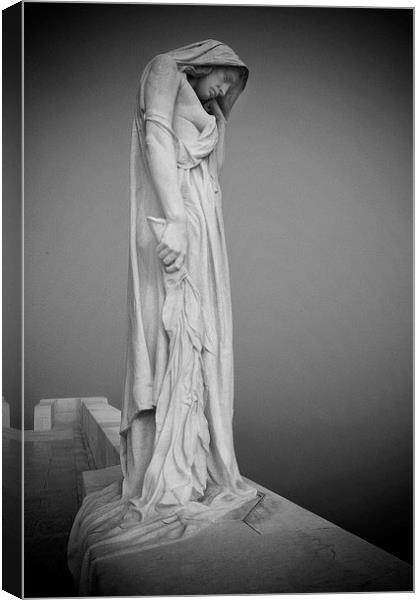 Statue in the mist Canvas Print by David Hare