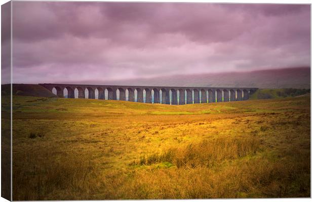 Ribblehead Viaduct Canvas Print by David Hare