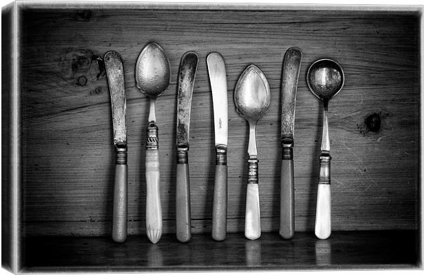  Old Cutlery Canvas Print by David Hare