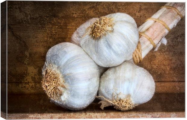  Garlic Bulbs Canvas Print by David Hare