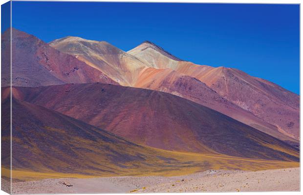  Painted Atacama Canvas Print by David Hare