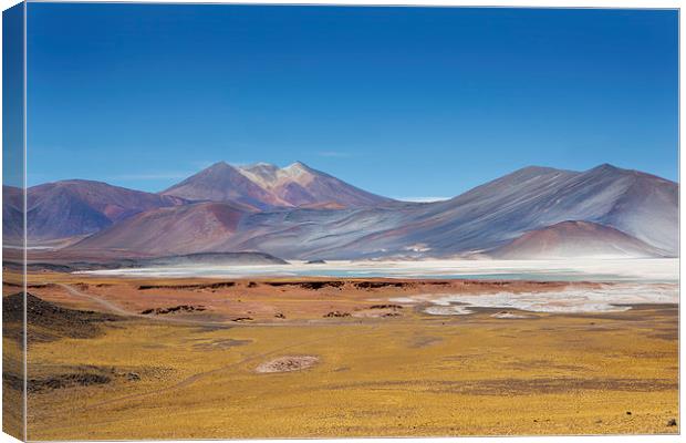  Atacama Hills Canvas Print by David Hare
