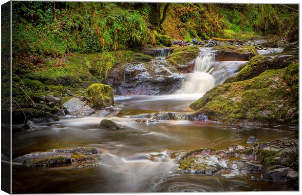  Glenariff Falls Canvas Print by David Hare