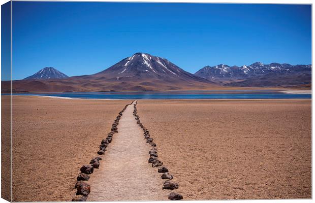  Walk a lonely path Canvas Print by David Hare