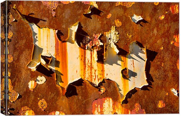  Paint on rust Canvas Print by David Hare