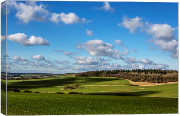 Views of Wiltshire. Canvas Print by David Hare
