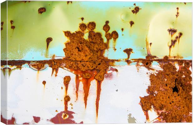 Rusting Panels Canvas Print by David Hare