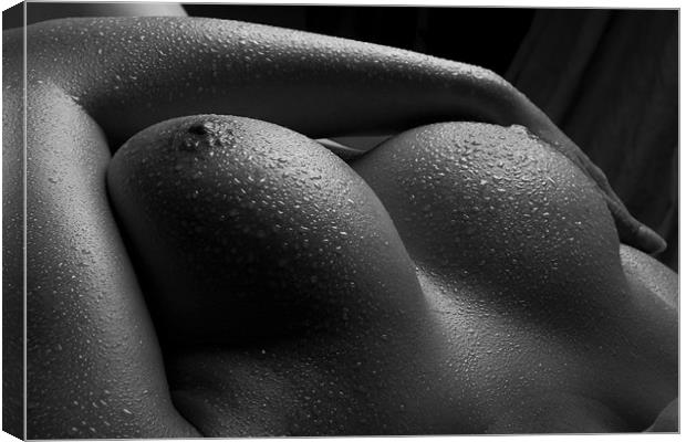 Breasts with water. Canvas Print by David Hare