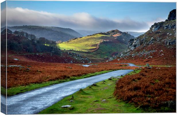 Valley of The Rocks Canvas Print by David Hare