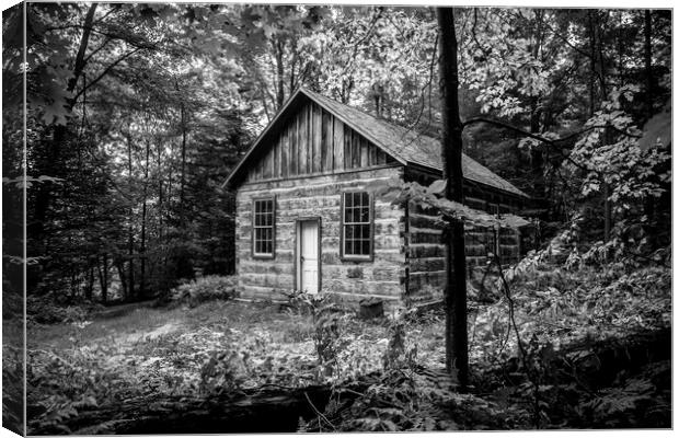 Woodland Shed Canvas Print by David Hare