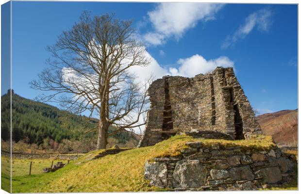 Scottish Broch. Canvas Print by David Hare