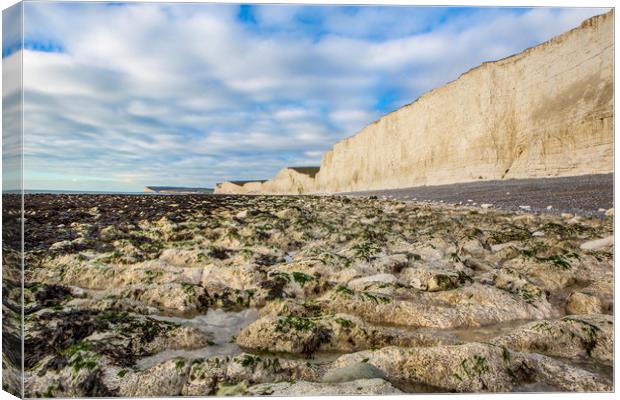 Birling Gap Canvas Print by David Hare