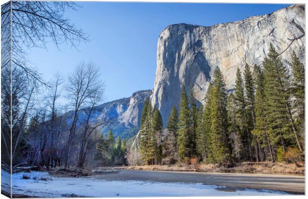 Yosemite, El Capitan Canvas Print by David Hare