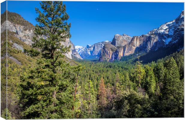 Yosemite Valley Canvas Print by David Hare