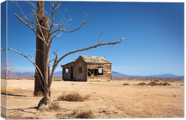 Abandoned Shack, Apple Valley. Canvas Print by David Hare