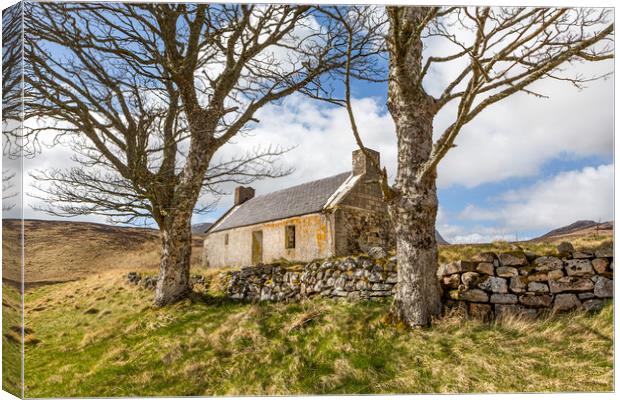 Remote Cottage Canvas Print by David Hare