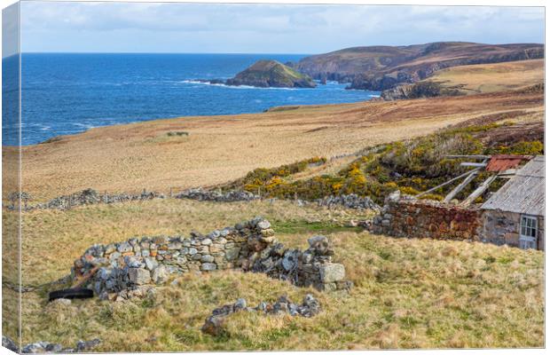 Highland croft and coast Canvas Print by David Hare