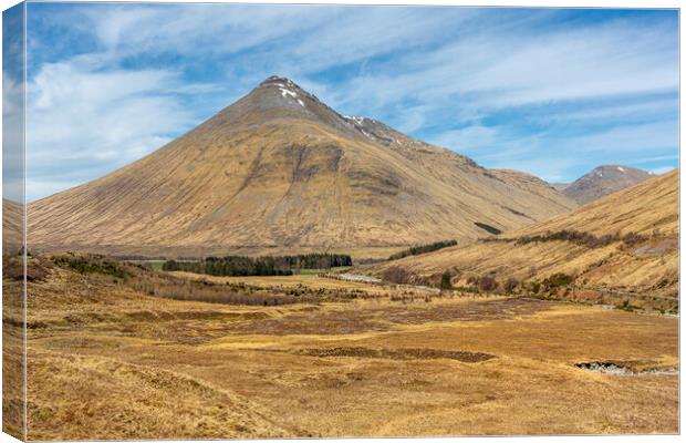 Highland Vale Canvas Print by David Hare