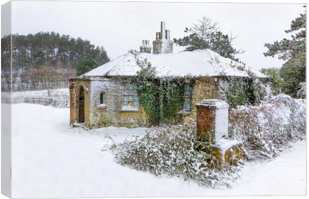 Snow covered abandoned cottage Canvas Print by David Hare