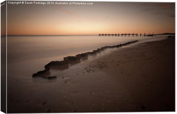 Twisted Beauty, Happisburgh Canvas Print by Sarah Partridge