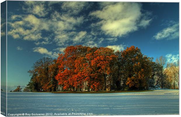 Autumnal Oasis Canvas Print by Roy Scrivener