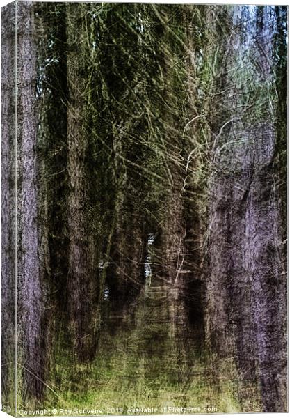 Into the Enchanted Forest Canvas Print by Roy Scrivener