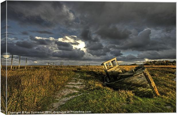 Ship Wreck Canvas Print by Roy Scrivener