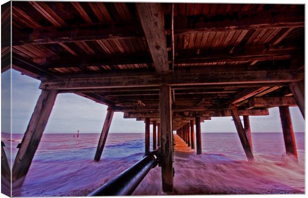 Under the Pier Canvas Print by Roy Scrivener