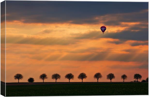 Up and Away! Canvas Print by Chris Owen