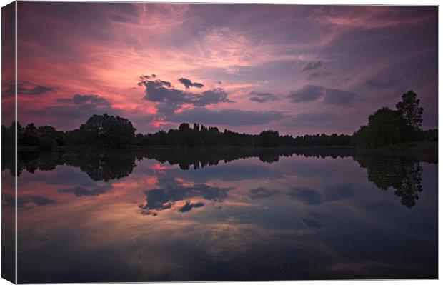 Reflect the Day Canvas Print by Chris Owen