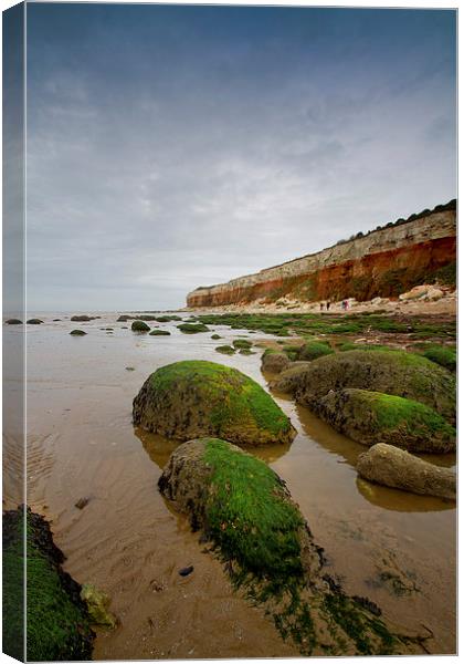 Hunstanton Cliff Canvas Print by Gypsyofthesky Photography