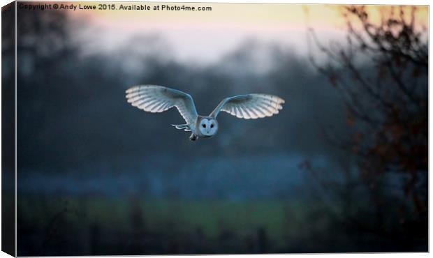  Barn Owl at Dusk Canvas Print by Gypsyofthesky Photography