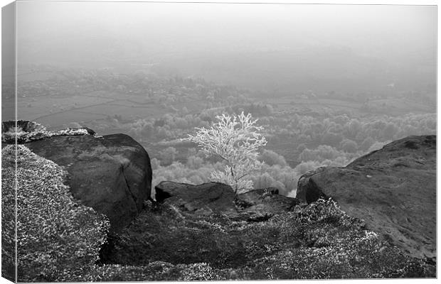 All Alone Canvas Print by Phil Swindin