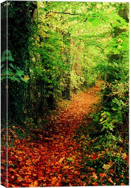The Autumn Road Canvas Print by Simon Joshua Peel