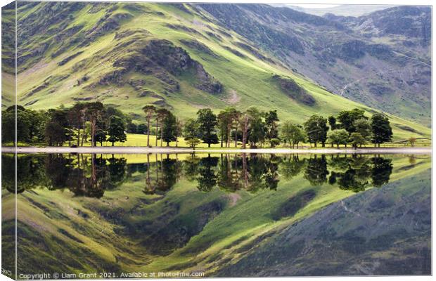 Trees and mountainside reflected in the surface of Buttermere la Canvas Print by Liam Grant
