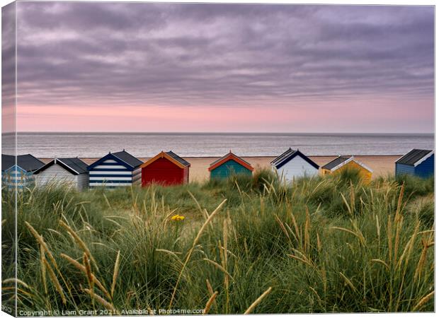 UK, Suffolk, Southwold, colourful beach huts in the dunes at sunrise Canvas Print by Liam Grant