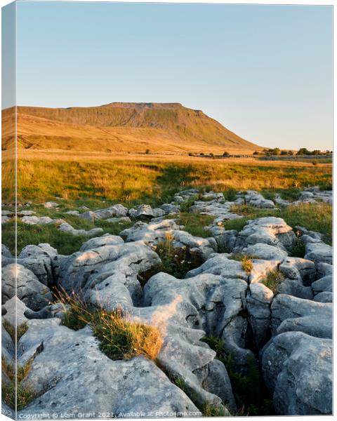 UK, Yorkshire, Ingleborough with limestone pavement in the foreground. Canvas Print by Liam Grant