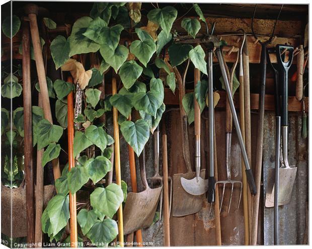 Tools / Garden Shed / Essex Canvas Print by Liam Grant
