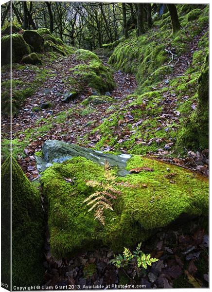 Nanmor Valley/North Wales Canvas Print by Liam Grant