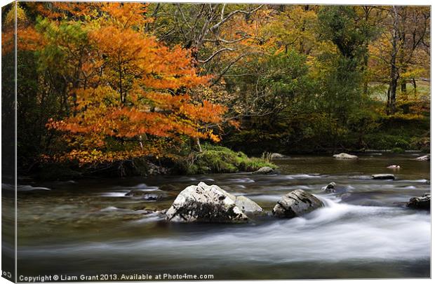 Pass of Aberglaslyn, Nanmor Valley, North Wales Canvas Print by Liam Grant