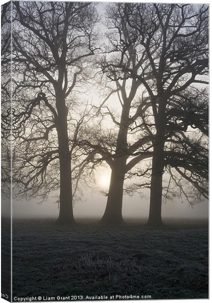 Sunrise behind trees in fog. Hilborough, Norfolk Canvas Print by Liam Grant
