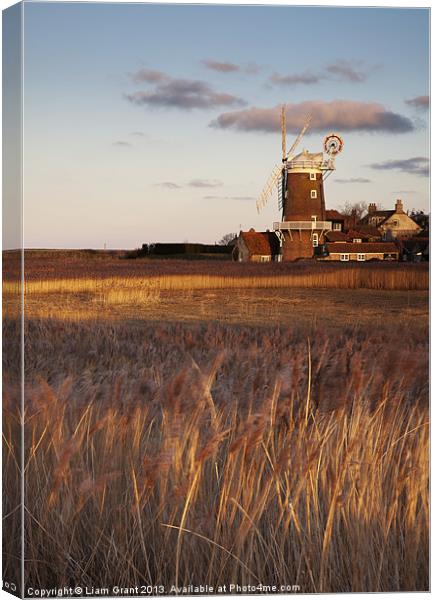 Reed beds at sunset with Cley Mill beyond. Canvas Print by Liam Grant